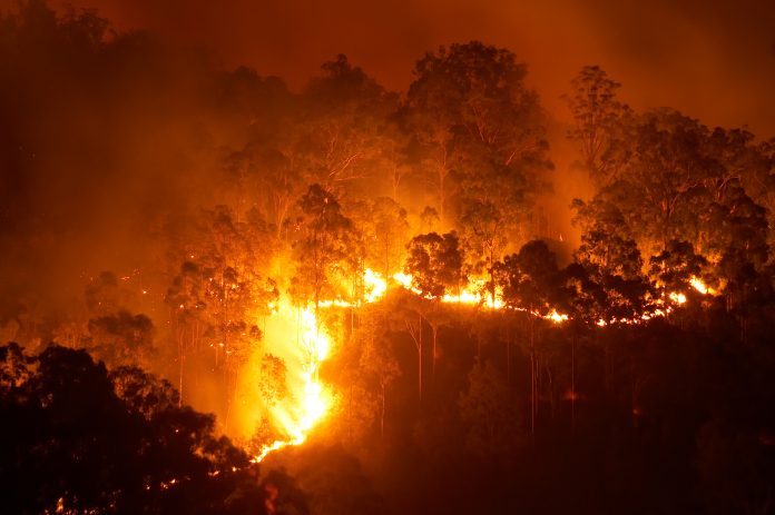 Forest fire at night, Climate change human health and wildfires