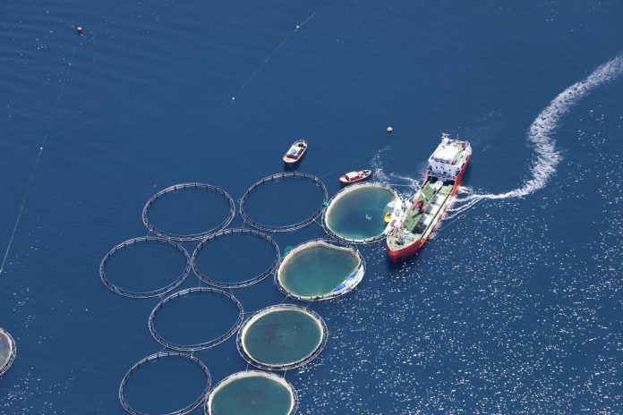 Aerial view of fish farm