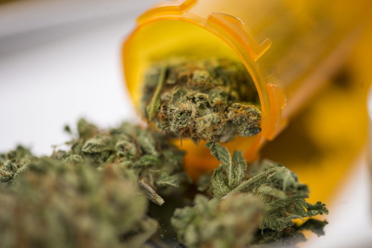 Closeup of medical marijuana bud flowers in a prescription pill bottle.