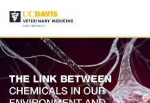 The link between chemicals in our environment and Parkinson's disease