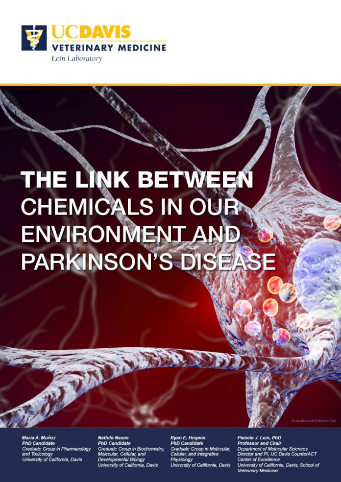 The link between chemicals in our environment and Parkinson's disease