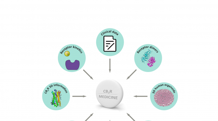 Figure 1: Scientific innovations in ECS research and drug discovery that will strongly impact the future discovery of improved and tailor-made CB2R medicines.