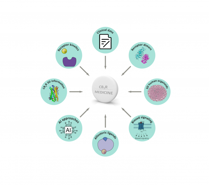 Figure 1: Scientific innovations in ECS research and drug discovery that will strongly impact the future discovery of improved and tailor-made CB2R medicines.