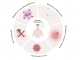 Figure 1: Potential employment of hydrogen therapy for cancer treatment. Hydrogen administration can exert antitumoral effects by different molecular mechanisms, including the regulation of intracellular ROS production, the reduction of acute/chronic inflammation in damaged tissues, the modulation of immune response, and a better selectivity towards cancer cells than normal cells, which associates with a good safety profile of this treatment.