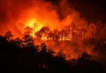 Forest fire wildfire at night time on the mountain with big smoke in Chiang Mai, Thailand, the need for climate policy and Climate diplomacy