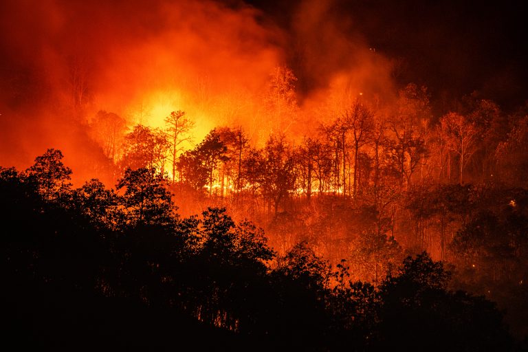 Forest fire wildfire at night time on the mountain with big smoke in Chiang Mai, Thailand, the need for climate policy and Climate diplomacy