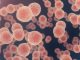 Cancer Cells under microscope background 3D illustration