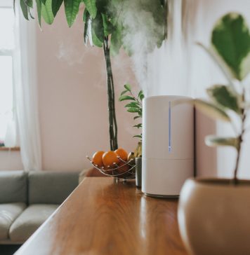 Air humidifier in living room
