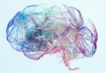 Brain activity,Human brain damage,Neural network,Artificial intelligence and idea concept
