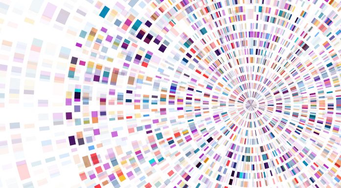 Dna test infographic. Genome sequence map.