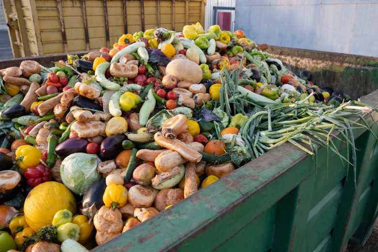 Anaerobic digestion: A sustainable solution for combatting food waste