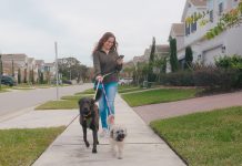 woman walking dogs in neighbourhood