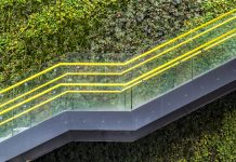 Viw of a modern staircase in Manchester with a living plant background, sustainable society