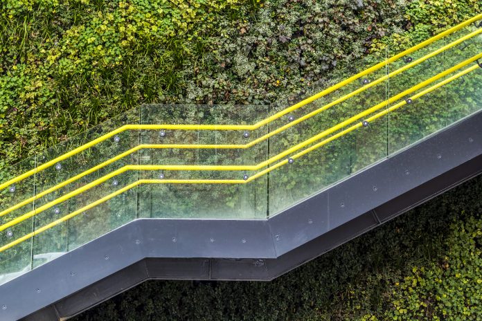 Viw of a modern staircase in Manchester with a living plant background, sustainable society