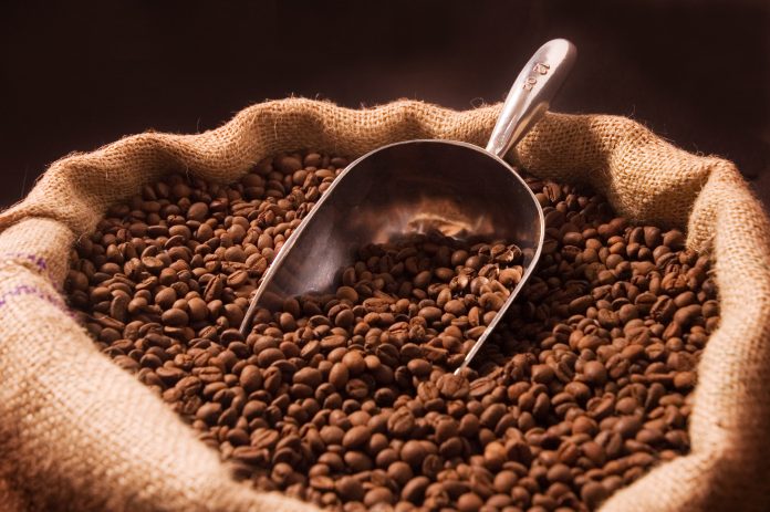 Scoop of coffee beans in an open burlap sack