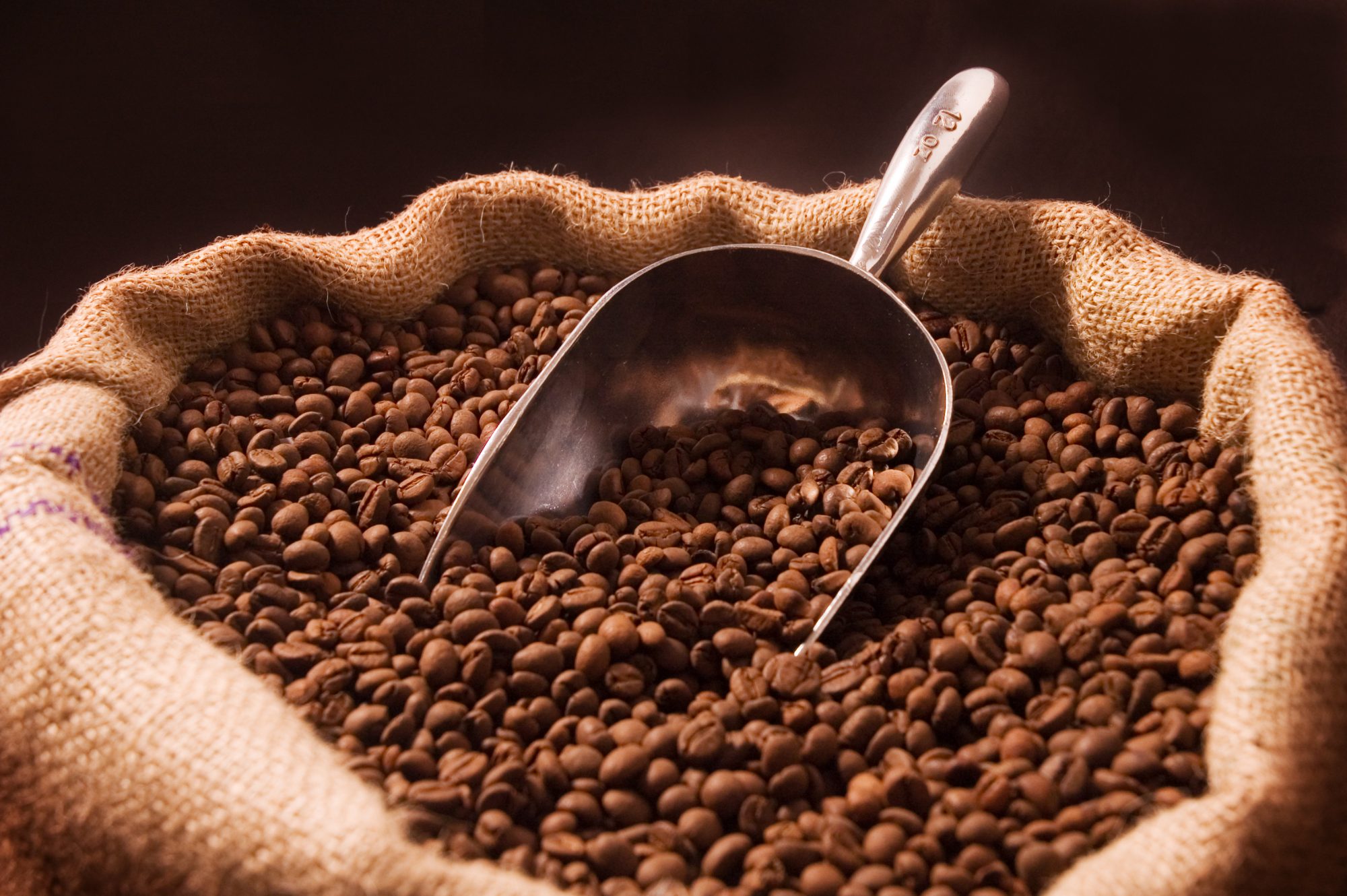 Экспортировать кофе. Кофе. Кофе в зернах. Кофейные зерна. Кофе «зерновой».