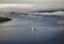 per_pixel_petersson-clam_farming-5211-10 (1)