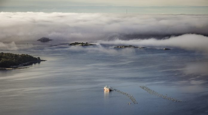 per_pixel_petersson-clam_farming-5211-10 (1)