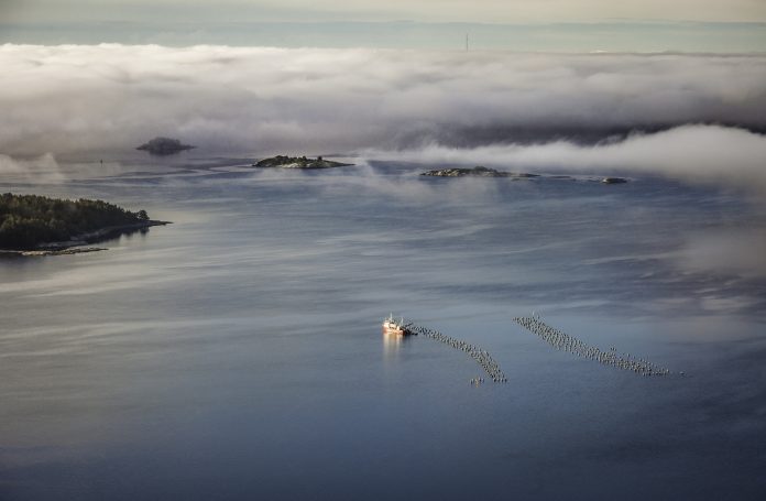 per_pixel_petersson-clam_farming-5211-10 (1)