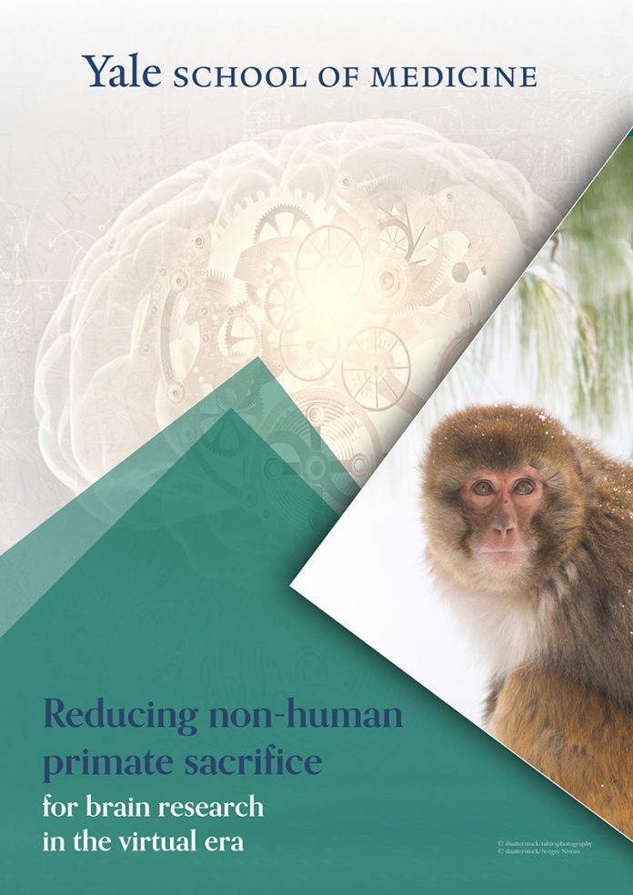 Reducing Non-Human Primate Sacrifice