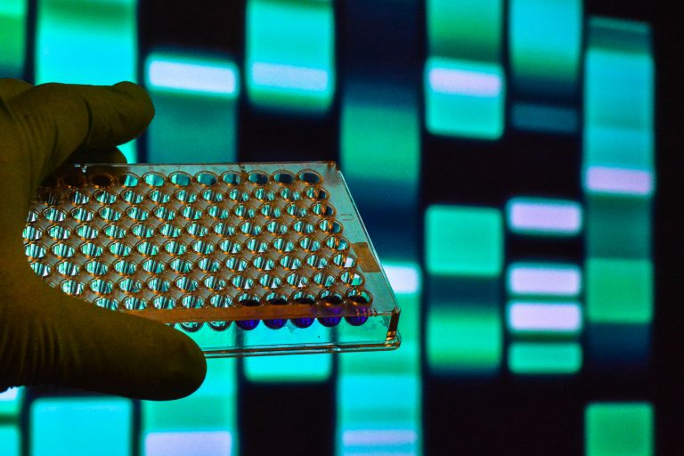 DNA testing. Well plate on the background of electrophoregram.