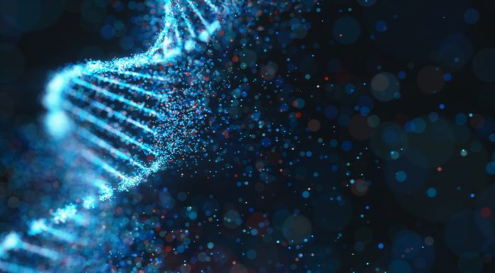 Colored Genetic Code DNA Molecule Structure