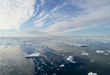 A view of the antarctica, sea and ice.