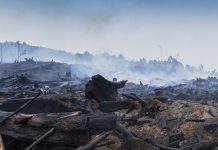 Bushfire smouldering in Australian Outback