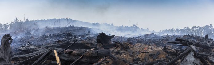 Bushfire smouldering in Australian Outback