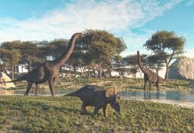 Brachiosaurus and triceratops in the valley at the lake .