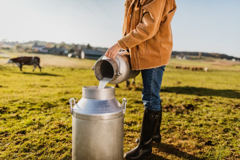 Female Farmer pouring raw milk into container