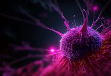 Tumor microenvironment concept with cancer cells, T-Cells, nanoparticles, cancer associated fibroblast layer of tumor microenvironment normal cells, molecules, and blood vessels 3d rendering