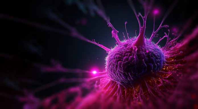 Tumor microenvironment concept with cancer cells, T-Cells, nanoparticles, cancer associated fibroblast layer of tumor microenvironment normal cells, molecules, and blood vessels 3d rendering