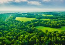 Forest aerial view. Drone photography. Spring. Field. Sustainability. Protection of nature