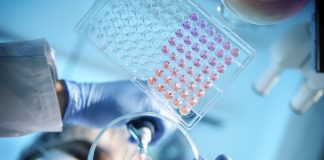 A scientist using a pipette with a microtiter plate and a petri dish