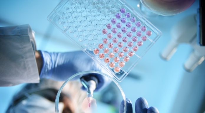 A scientist using a pipette with a microtiter plate and a petri dish