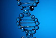 DNA strand on blue color background. 3d illustration