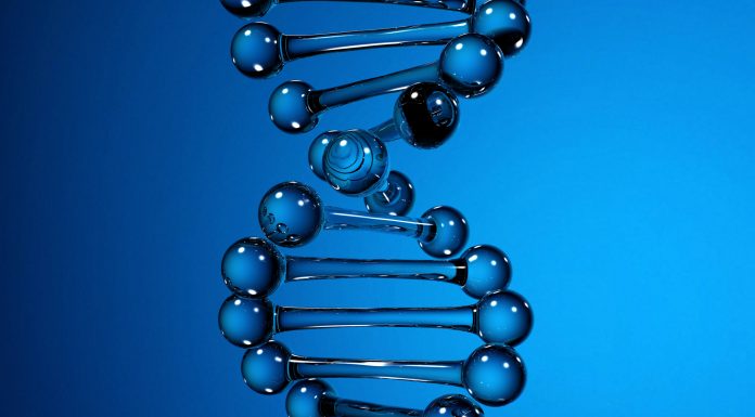 DNA strand on blue color background. 3d illustration