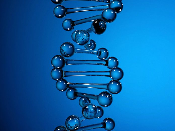 DNA strand on blue color background. 3d illustration