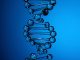 DNA strand on blue color background. 3d illustration