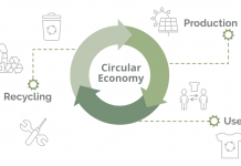 circular economy, economy, linear economy, economy