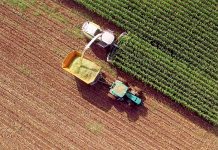 The food and agriculture sector