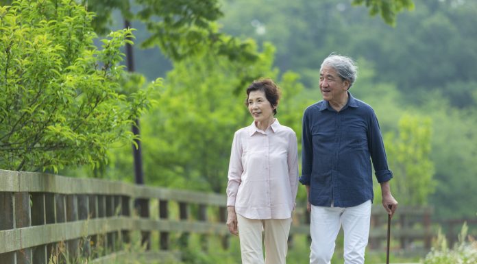 An old couple walking in the park, elderly people, primary care