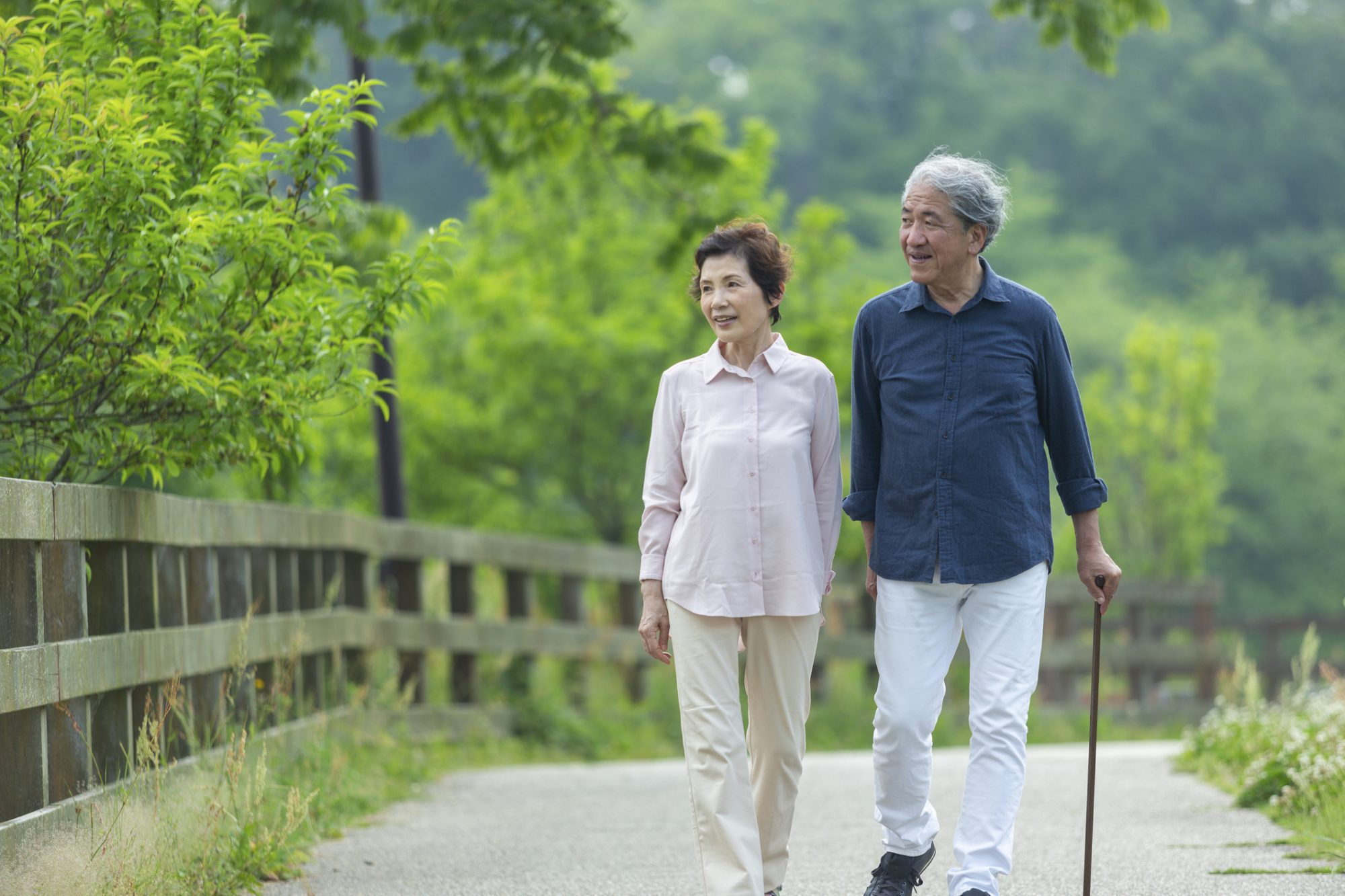 日本の高齢化人口のための一次医療および医療教育