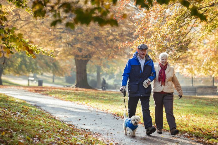 couple walking dog in park on a autum day