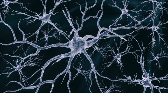 Neural cells network on a dark background - 3d rendered image of the neural cell network image on a black background. Glowing synapse. Displaying neurons and the neural network. Electrical impulses in neural networks.