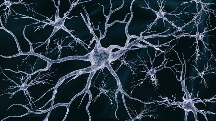 Neural cells network on a dark background - 3d rendered image of the neural cell network image on a black background. Glowing synapse. Displaying neurons and the neural network. Electrical impulses in neural networks.