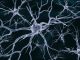 Neural cells network on a dark background - 3d rendered image of the neural cell network image on a black background. Glowing synapse. Displaying neurons and the neural network. Electrical impulses in neural networks.