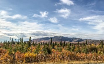 Alaska offers many stunning views during the season’s change. As the seasons change from Summer to Fall, the leaves transform into a stunning display of Fall colors. Interior Alaska offers unique and stunning views for all to enjoy.