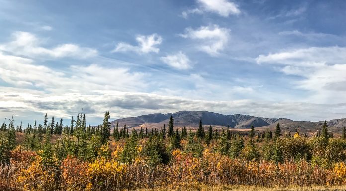 Alaska offers many stunning views during the season’s change. As the seasons change from Summer to Fall, the leaves transform into a stunning display of Fall colors. Interior Alaska offers unique and stunning views for all to enjoy.
